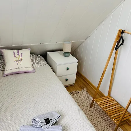 Natura Rybno Holiday home *
