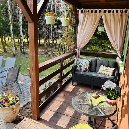 Natura * Rybno (Wejherowo)